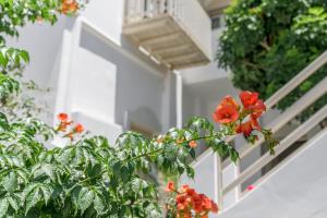 a balcony with red flowers on a white house at Anastasia's Triovasalos in Triovasálos