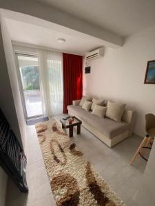 屋吉耶塔的住宿－Nana Dea，带沙发和地毯的客厅