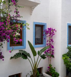 Zahrada ubytování Manuela Boutique Hotel Bitez + 37 fotografií