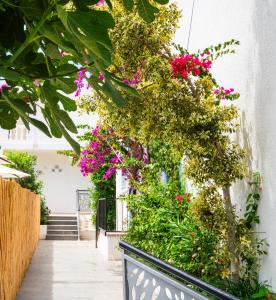 Zahrada ubytování Manuela Boutique Hotel Bitez