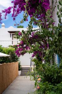 Zahrada ubytování Manuela Boutique Hotel Bitez
