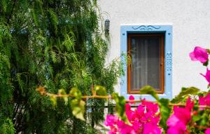 Zahrada ubytování Manuela Boutique Hotel Bitez