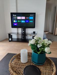 TV a/nebo společenská místnost v ubytování Sunflower Apartments