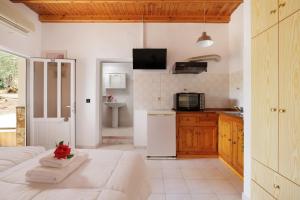 A kitchen or kitchenette at Santos Holidays