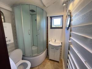 a bathroom with a shower and a toilet and a sink at Poilsiavietė Vita in Šventoji +68 photos