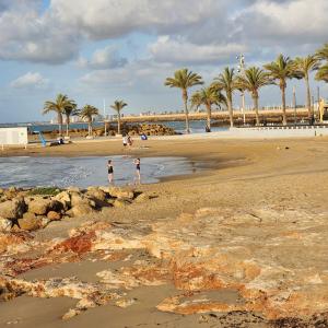 Phong cảnh thiên nhiên gần căn hộ +16 ảnh