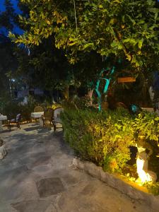 Сад в Medusa House Butik Hotel