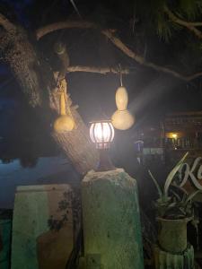 Фотография из галереи Medusa House Butik Hotel в Дидиме