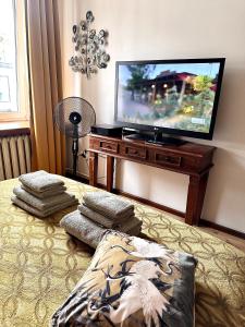 Televízia a/alebo spoločenská miestnosť v ubytovaní Africa Apartment
