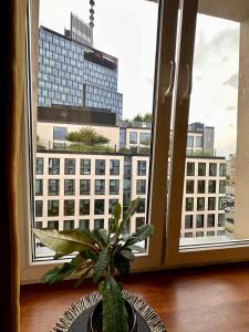 Výhľad na mesto Varšava alebo výhľad na mesto priamo z apartmánu