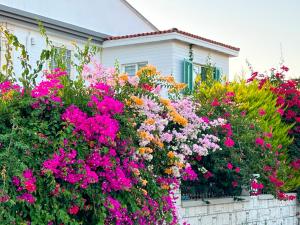 Zahrada ubytování ALAÇATI XL LUXURY HOTEL