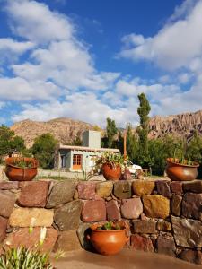 a stone wall with potted plants in front of a house at Tierra Primitiva in Tilcara