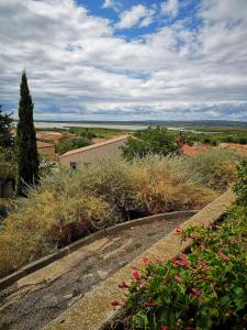 a view of a garden with flowers on a hill at maison du portail vieil in Vendres