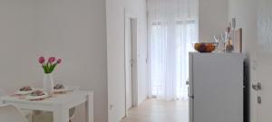 Fotografie z fotogalerie ubytování Apartments MISTEMI v destinaci Igalo