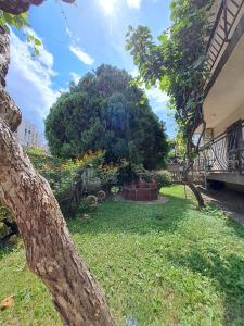 Zahrada ubytování Apartments MISTEMI