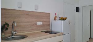 Kuchyň nebo kuchyňský kout v ubytování Apartments MISTEMI