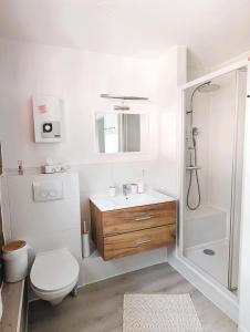 a bathroom with a toilet and a sink and a shower at Apartment Nähe Airbus in Manching