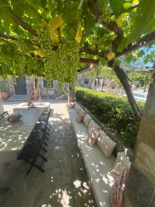 Zahrada ubytování Aithonas Villa