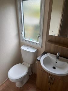 a bathroom with a toilet and a sink and a window at Natland Caravan Park in Kendal