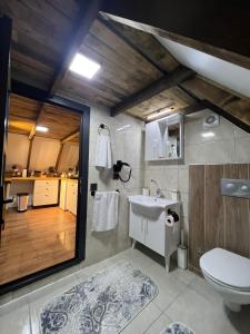 Danzi camping tiny house في ريزي: حمام به مرحاض أبيض ومغسلة