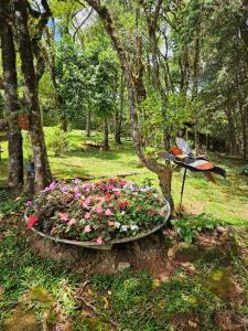 Galeriebild der Unterkunft Lareira forno e fogao a lenha nas montanhas in Camanducaia