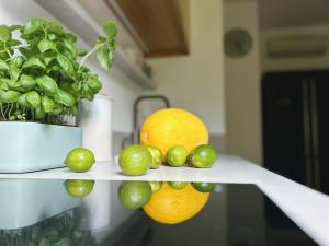 Afbeelding uit fotogalerij van Perła Juraty in Jurata