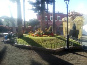 Ogród w obiekcie Hostel Orotava