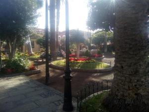 Ogród w obiekcie Hostel Orotava