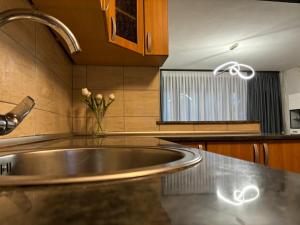 a kitchen with a sink and a vase of flowers at Riverside Resort Una in Bihać +63 photos
