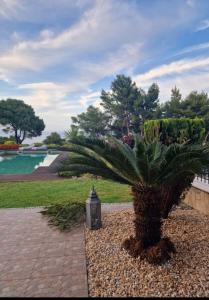 A garden outside Villa Musa with private pool
