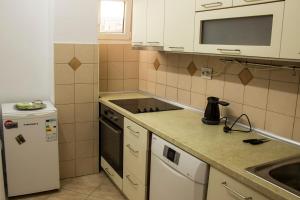 Kuchyň nebo kuchyňský kout v ubytování Apartment Iva