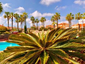 Bazén v ubytovaní 8 Bungalow familiar con Piscina Gran Alacant alebo v jeho blízkosti