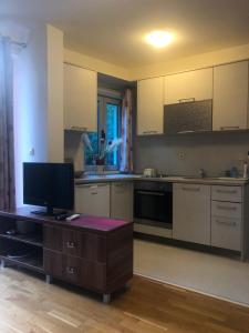 Kuchyň nebo kuchyňský kout v ubytování Apartments Rafailović Ljubo