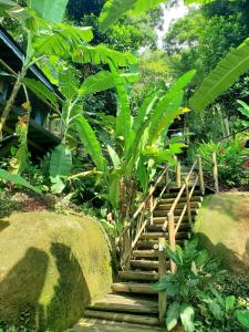 un escalier dans un jardin avec des plantes vertes dans l'établissement Chalés Paris, à Parati