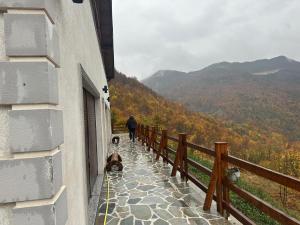 a man walking a dog on a walkway next to a building at Alpin Zeneli Chalet in Çerem