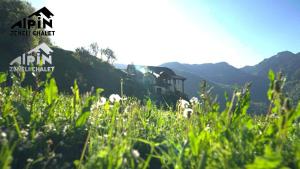 a field of grass with a building in the background at Alpin Zeneli Chalet in Çerem