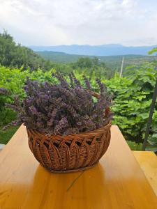Fotografie z fotogalerie ubytování Green Silence - Vuk v destinaci Podgorica
