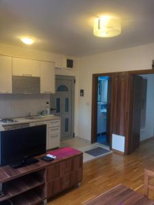 Kuchyň nebo kuchyňský kout v ubytování Apartments Rafailović Ljubo
