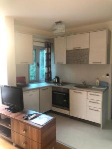 Kuchyň nebo kuchyňský kout v ubytování Apartments Rafailović Ljubo
