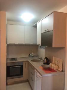Kuchyň nebo kuchyňský kout v ubytování Apartments Rafailović Ljubo