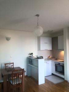 Kuchyň nebo kuchyňský kout v ubytování Apartments Rafailović Ljubo