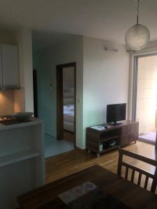 TV a/nebo společenská místnost v ubytování Apartments Rafailović Ljubo