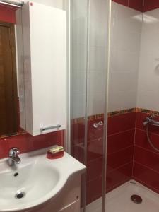 Koupelna v ubytování Apartments Rafailović Ljubo