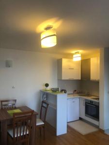 Kuchyň nebo kuchyňský kout v ubytování Apartments Rafailović Ljubo