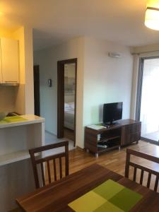 TV a/nebo společenská místnost v ubytování Apartments Rafailović Ljubo