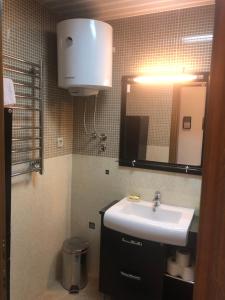 Koupelna v ubytování Apartments Rafailović Ljubo
