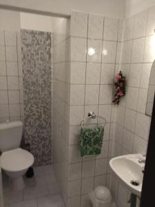 Koupelna v ubytování Apartman KRAL