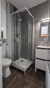 a bathroom with a shower and a toilet and a sink at Studio avec linge de maison fourni et tout équipé aux pieds des pistes in Villard-de-Lans