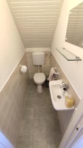 a small bathroom with a toilet and a sink at HauSol Vendégház in Gárdony +20 photos