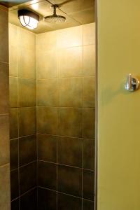 y baño con ducha y techo luminoso. en Dwntwn home, Prvt Rooftop and Soaking Tub!, en Burlington